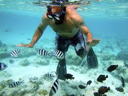 Snorkeling